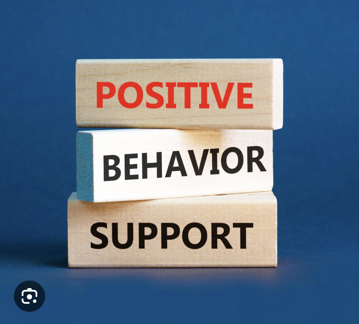 Pos Behavior Support